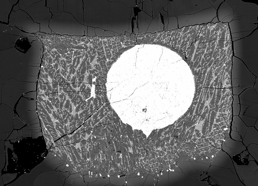 Back-scattered electron image of a bright metal sphere inside quenched silicate melt, in a capsule